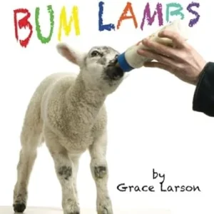 Bum Lambs