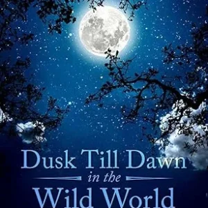 Dusk Till Dawn In The Wild World